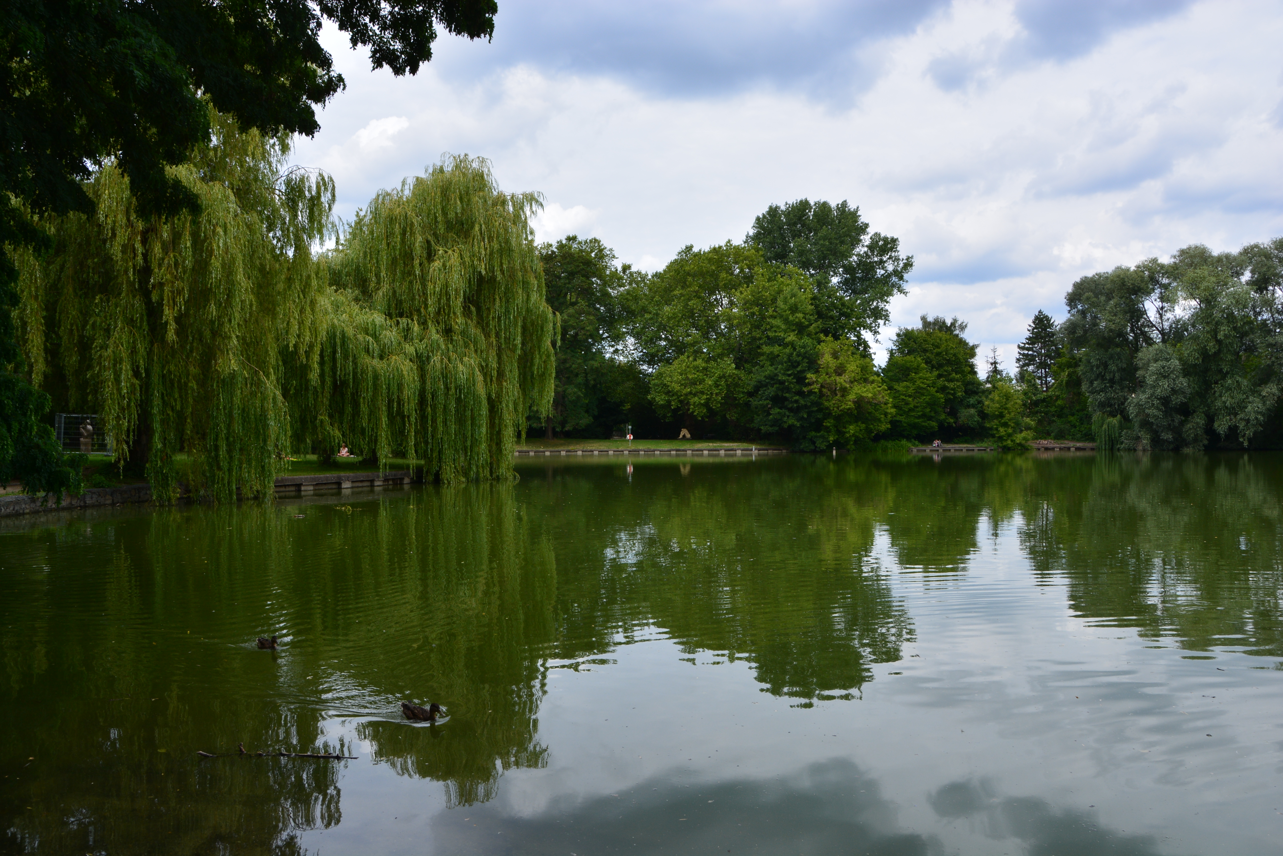 Blick auf den Obersee in Lichtenberg